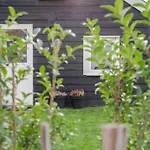 Wildzicht Cosy Prázdninový dům