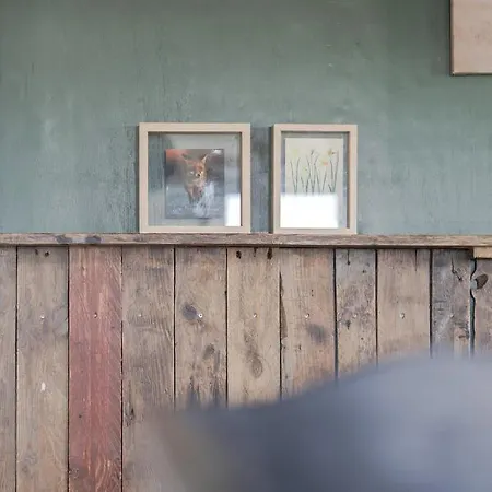 Wildzicht Cosy Tatil Evi 't Zand