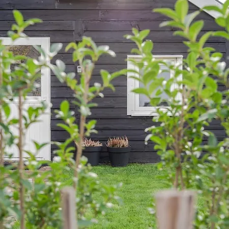 Wildzicht Cosy Tatil Evi